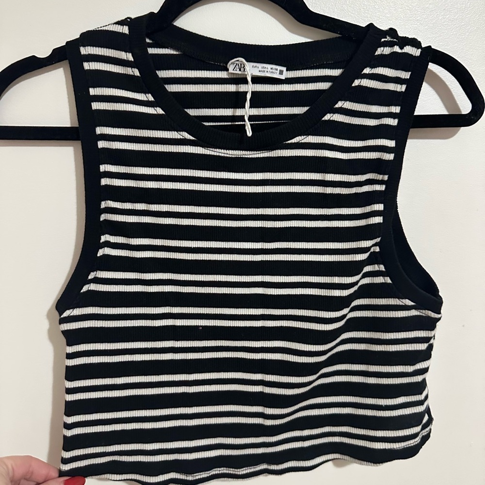 Zara Monochrome Striped Crop Top